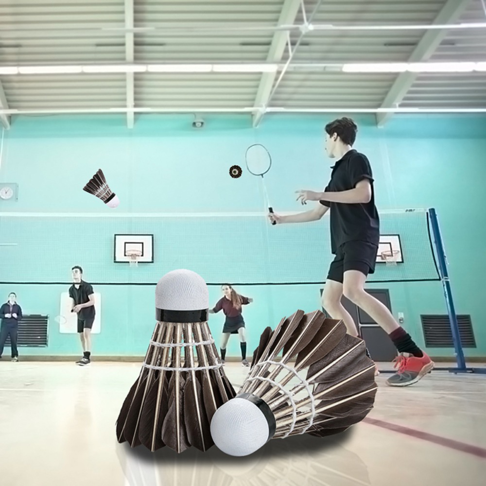 3/6/12Pcs Household Sport Trai - Badminton House 评论和价格