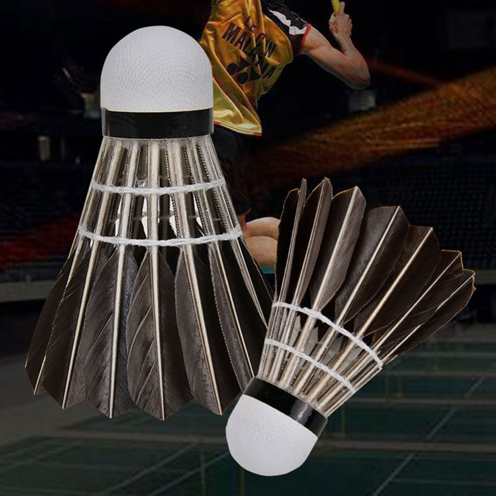 3/6/12Pcs Household Sport Trai - Badminton House 评论和价格