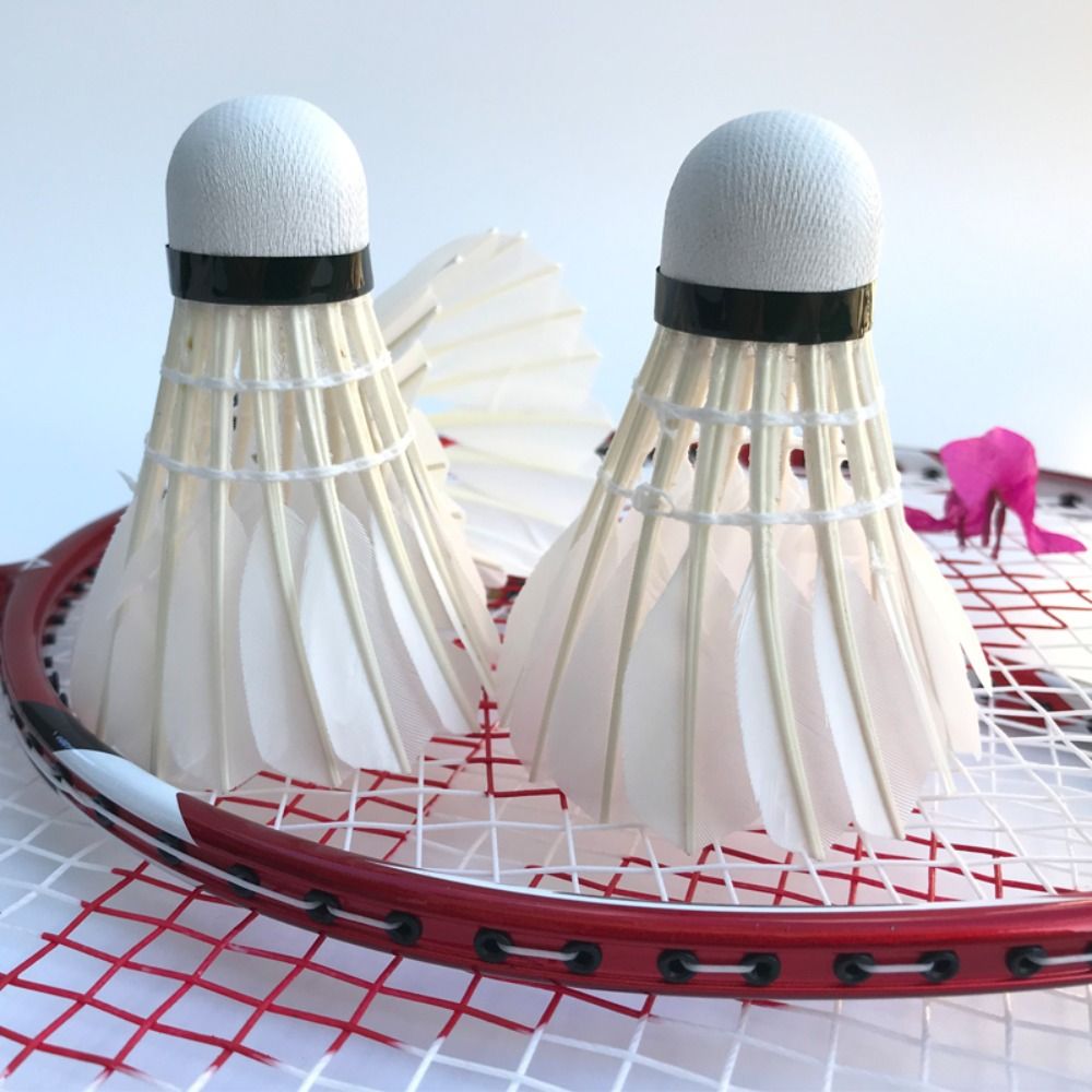 3/6/12Pcs New White Badminton  - Badminton House 评论和价格